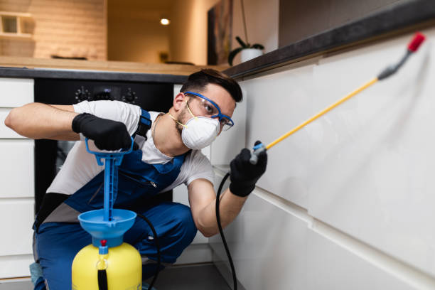 Best Best Pest Control Companies  in Annandale, NJ