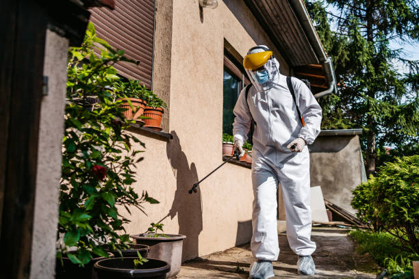 Best Cockroach Control Services  in Annandale, NJ