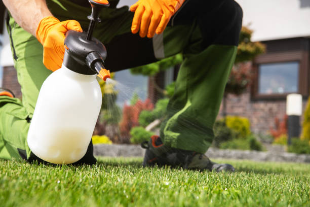Best Pest Inspection Near Me  in Annandale, NJ