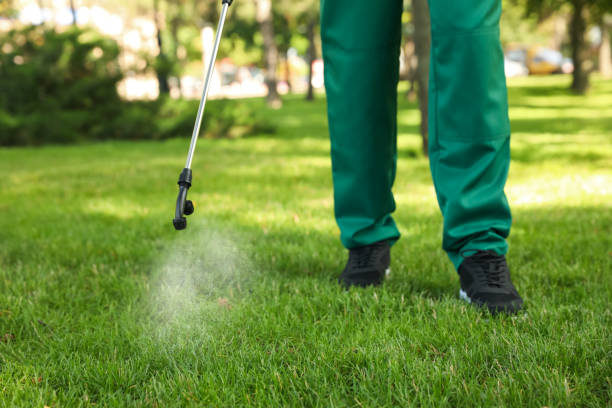 Best Pest Control for Businesses  in Annandale, NJ