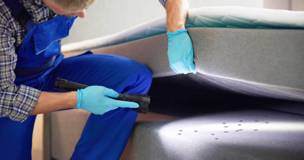 Best Affordable Pest Control Services  in Annandale, NJ
