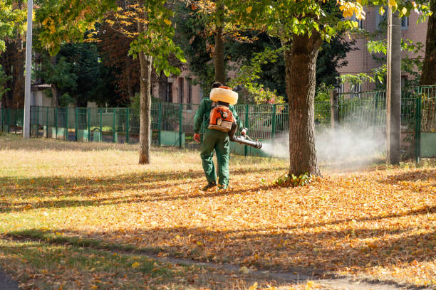 Best Rat Extermination Near Me  in Annandale, NJ