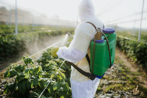 Best Wasp Removal Services  in Annandale, NJ